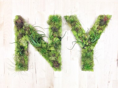 NY Plant Art