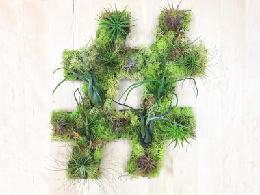 hashtag Plant Art