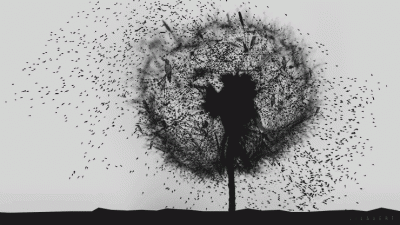 Starlings & dandelion – Cinemagraph gif ©LilaVert