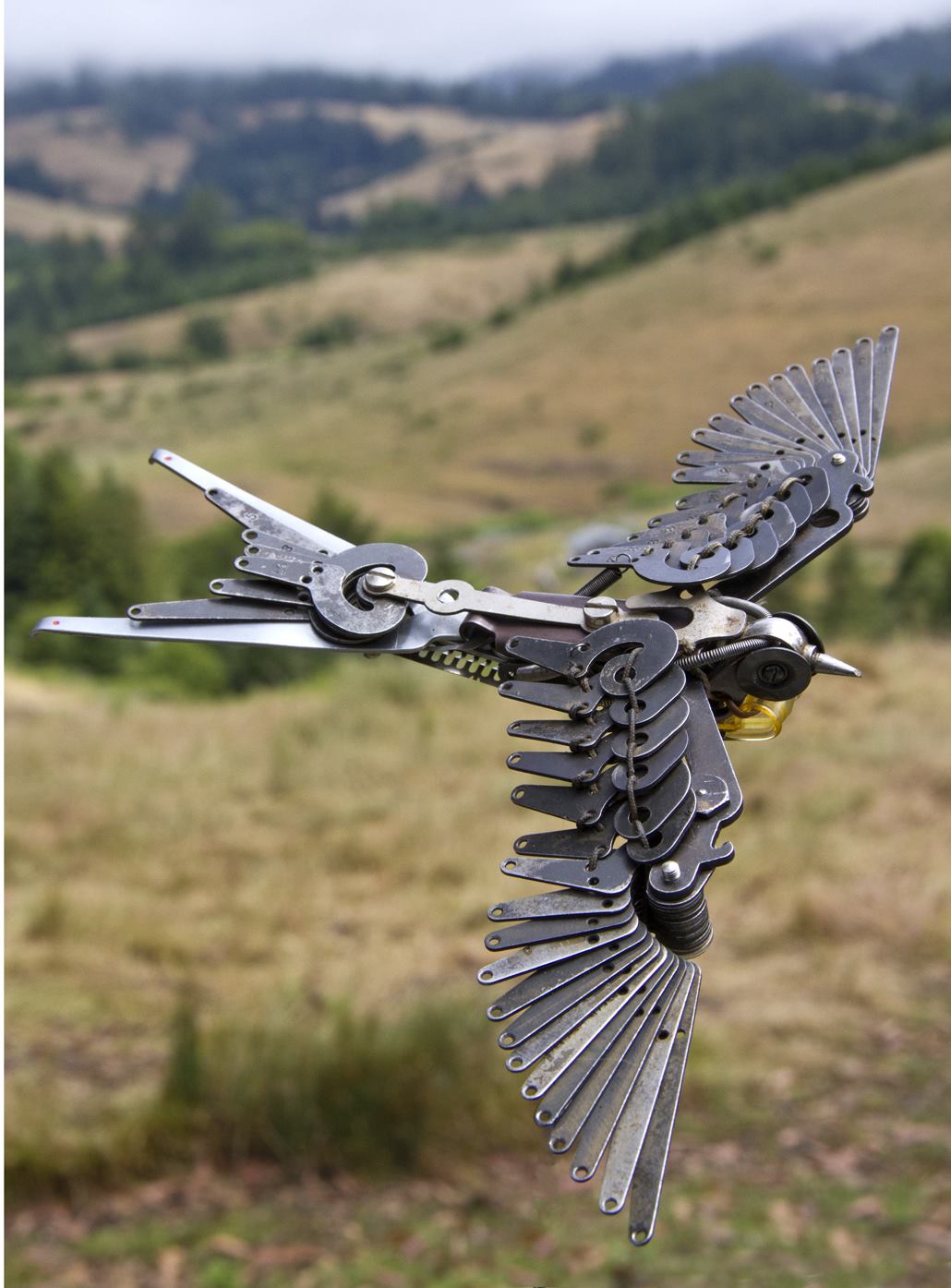 Jeremy Mayer – Bird – Typewriter assemblage sculptures