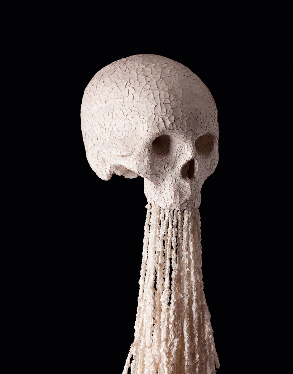 Jim skull – Coquille d’oeuf