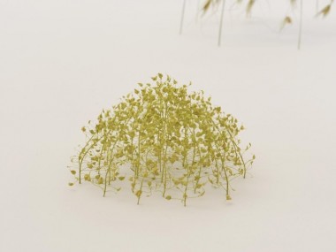 Christiane Loehr – Sculptures & installations nature morte – 2009, Pflanzenstengel, 6,5 x 13 x 12 cm