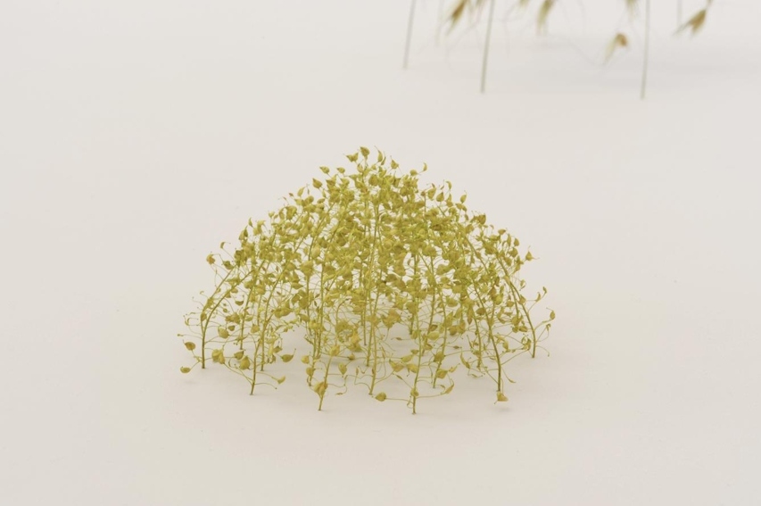 Christiane Loehr – Sculptures & installations nature morte – 2009, Pflanzenstengel, 6,5 x 13 x 12 cm