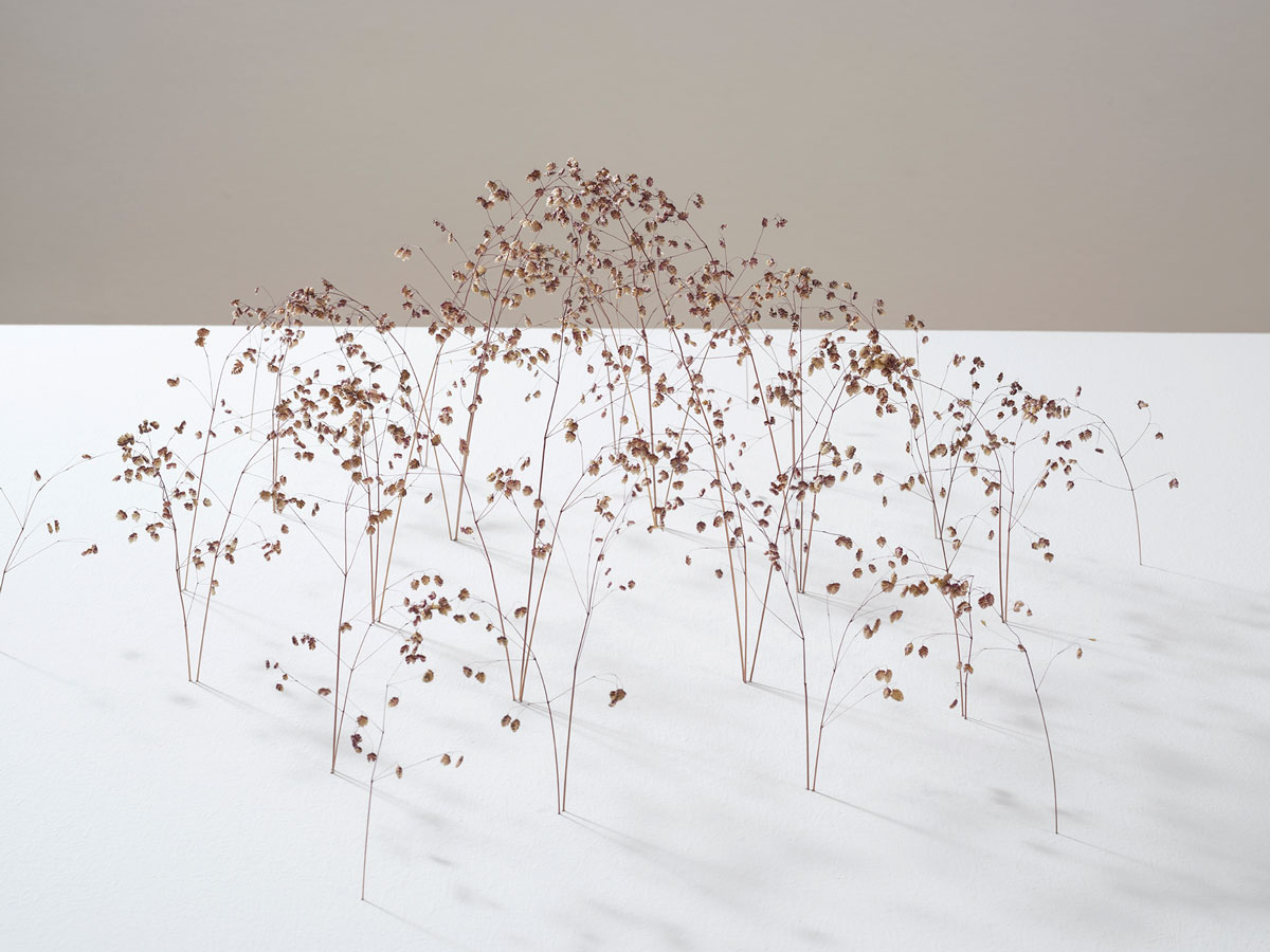 Christiane-Loehr – Sculptures & installations nature morte