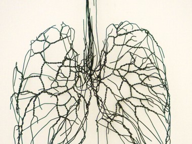 David Oliveira – Wire sculptures Poumons