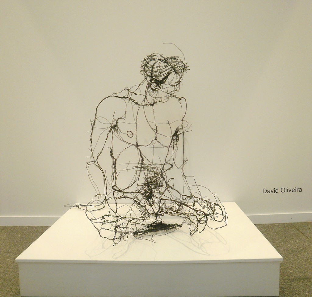 David Oliveira - Wire sculptures