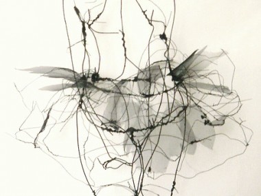 David Oliveira – Wire sculptures
