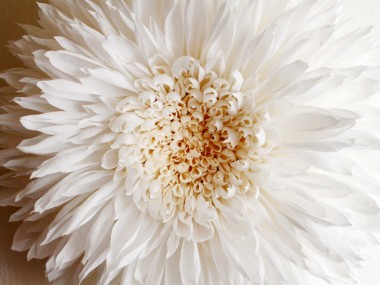 Tiffanie Turner – Paper flower art – dahlia