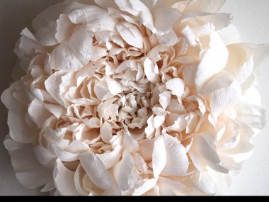 Tiffanie Turner – Paper flower art