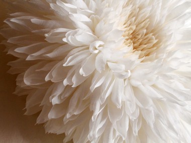 Tiffanie Turner – Paper flower art