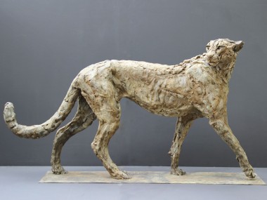 Patrick Villas – Sculptures – Cheetah mâle – Bronze – 66 x 128 x 28 cm