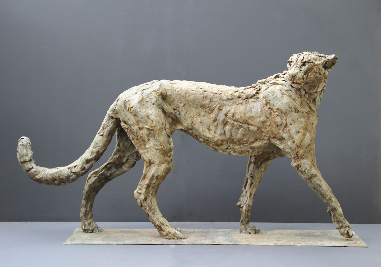 Patrick Villas - Sculptures - Cheetah mâle - Bronze - 66 x 128 x 28 cm