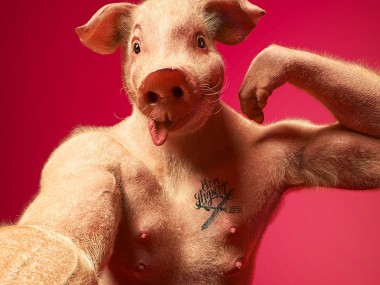 Digital 3D series Cristian Girotto – Selfie animal pig