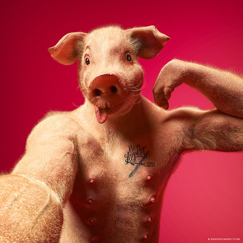 Digital 3D series Cristian Girotto – Selfie animal pig