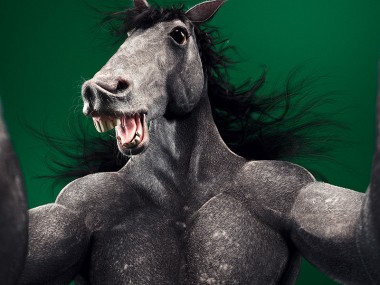 Digital 3D series Cristian Girotto – Selfie animal horse