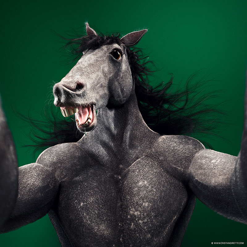 Digital 3D series Cristian Girotto – Selfie animal horse