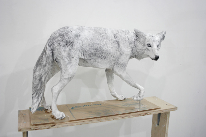 Midori Harima – Paper sculptures – America