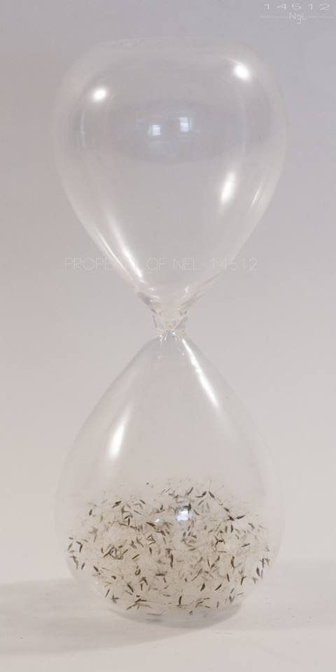 Nel-14512 sculptures – Le temps de réflexion 2014 – Assemblage-verre-graines