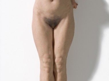 Sam Jinks Duo, 2008