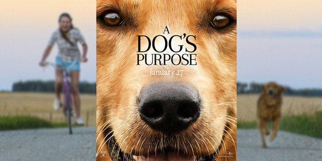 boycott a dog's purpose