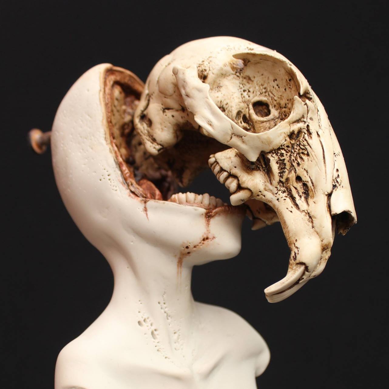 Emil Melmoth, Sculptures – Chasing rabbits drowned in formaldehyde