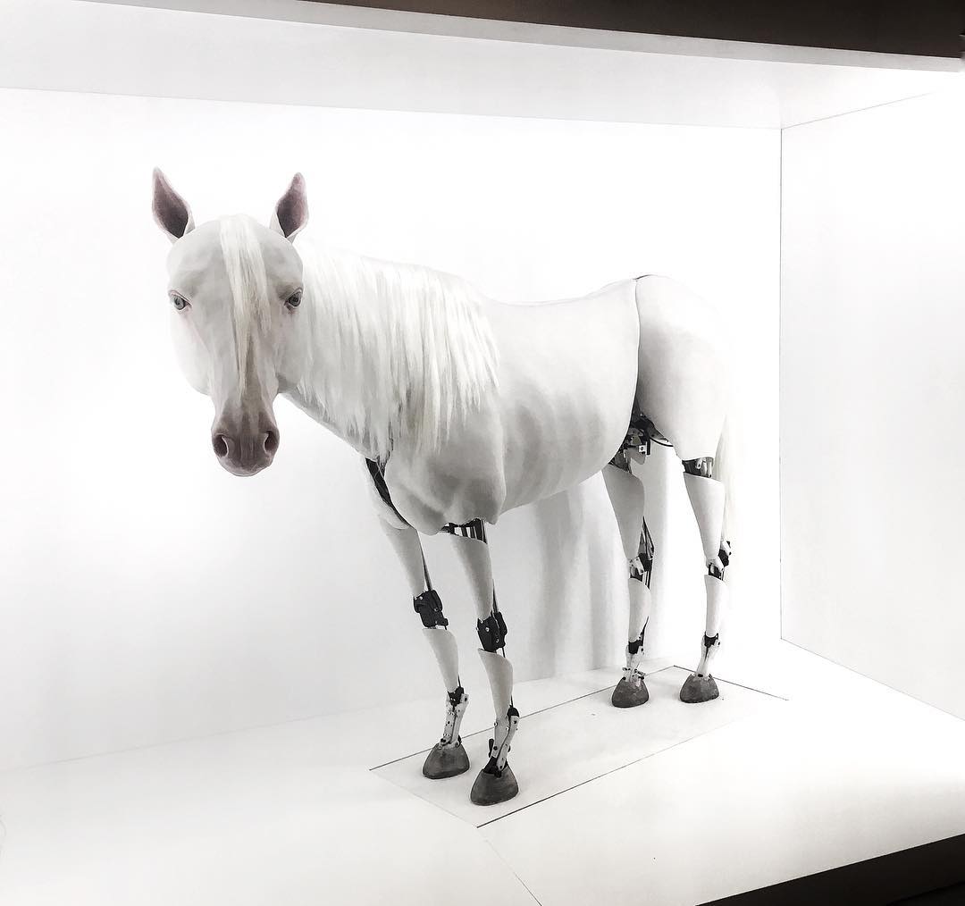 Server Demirtaş #kineticsculpture horse #contemporaryistanbul2017
