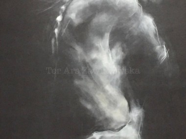 Ter Ars Zawitkowska – Charcoal and pastel on paper