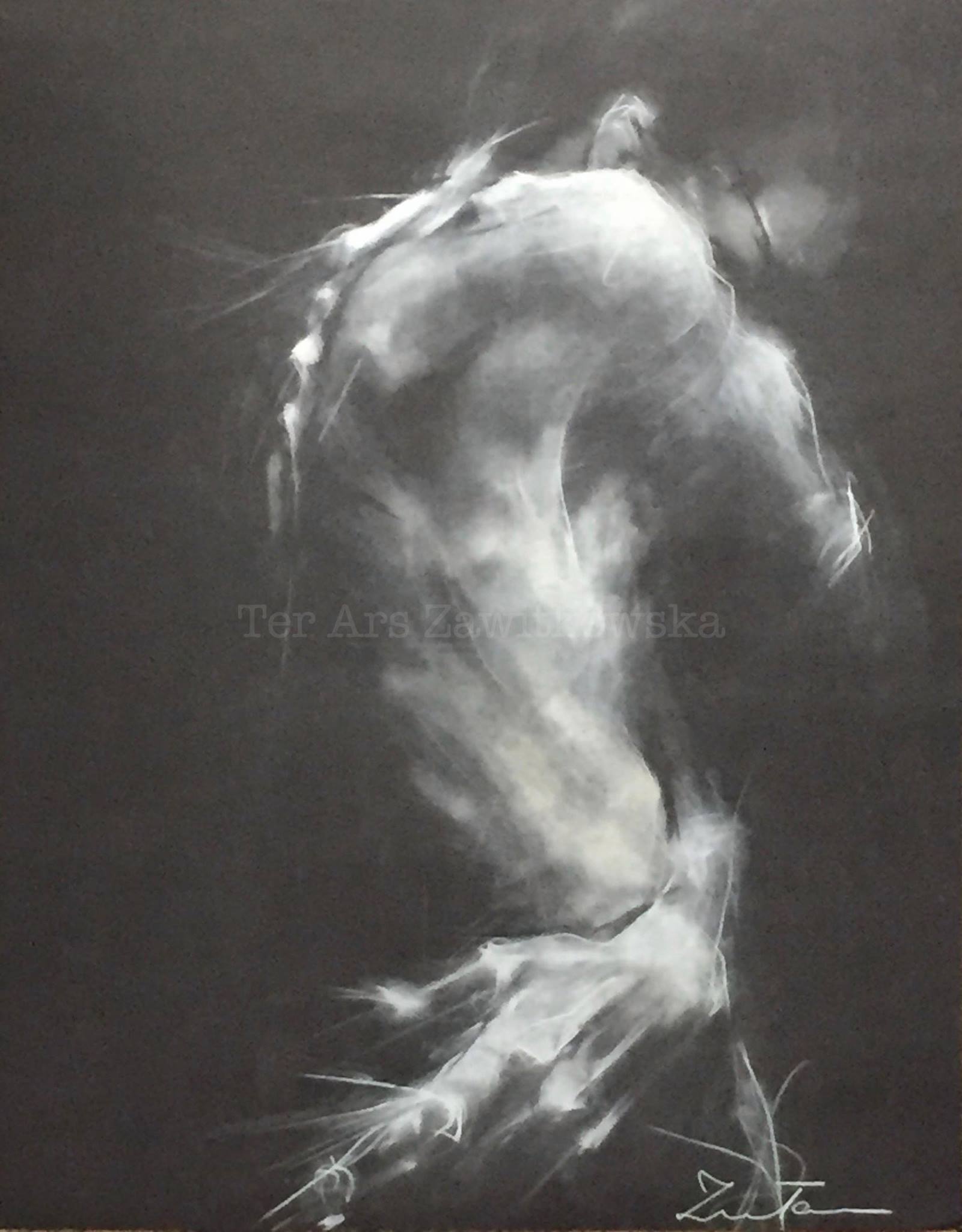 Ter Ars Zawitkowska – Charcoal and pastel on paper