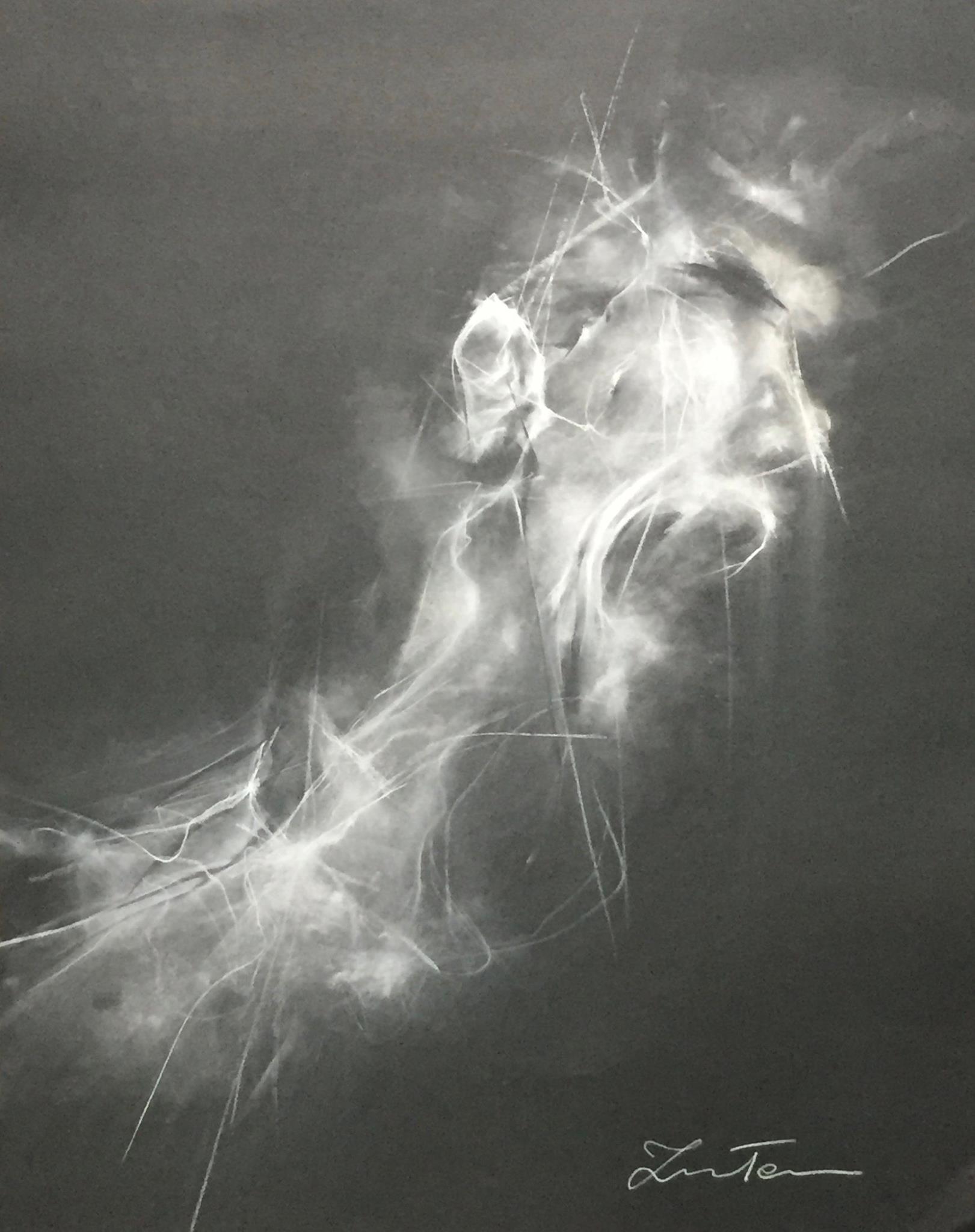 Ter Ars Zawitkowska – White charcoal and pastel on paper