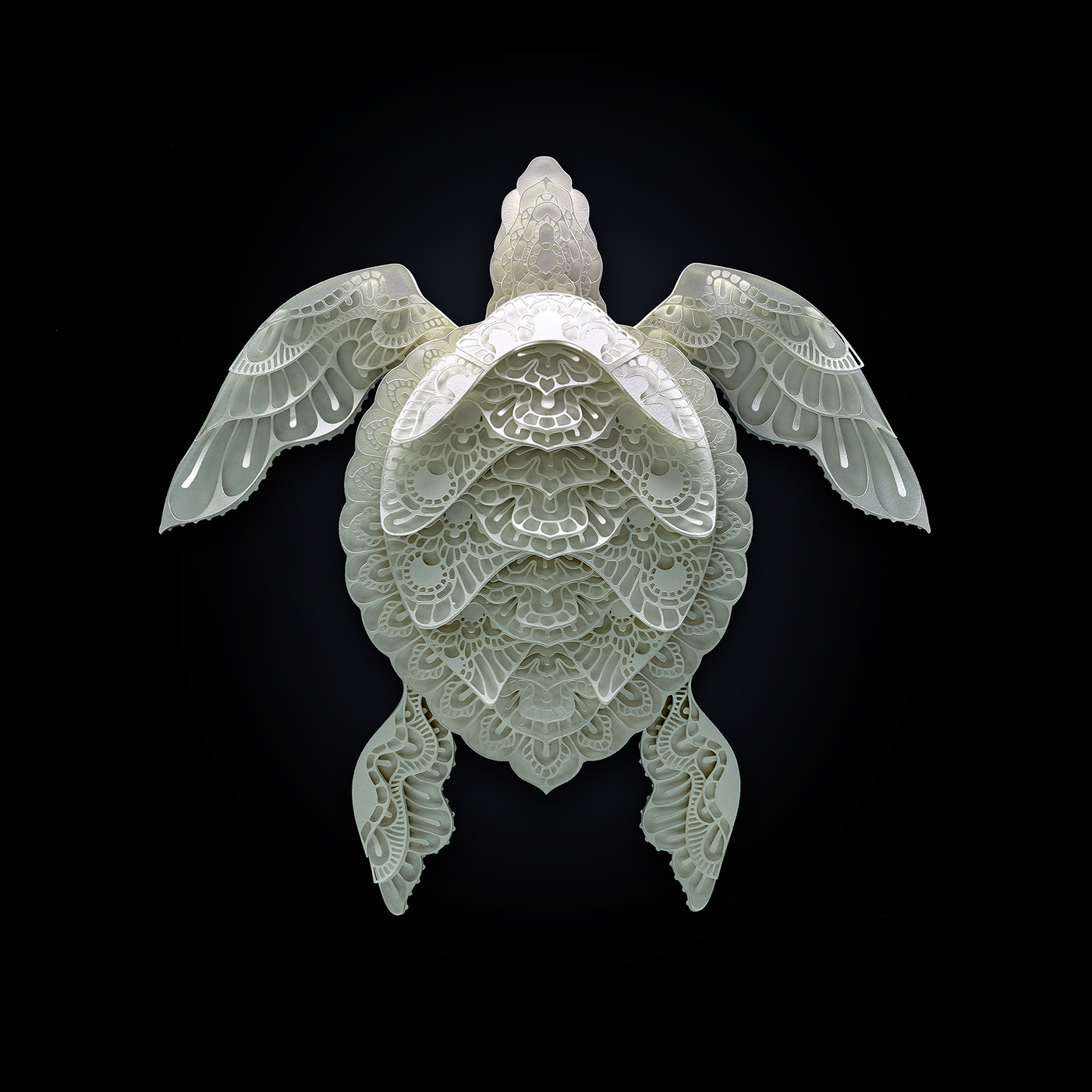 Patrick Cabral – papercuts Art – Turtle