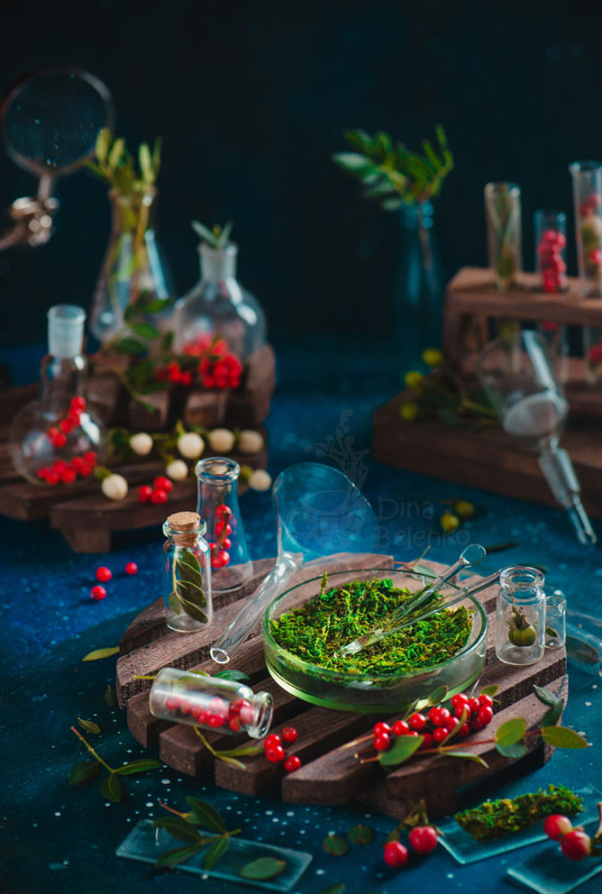 Dina Belenko – Food photography Art