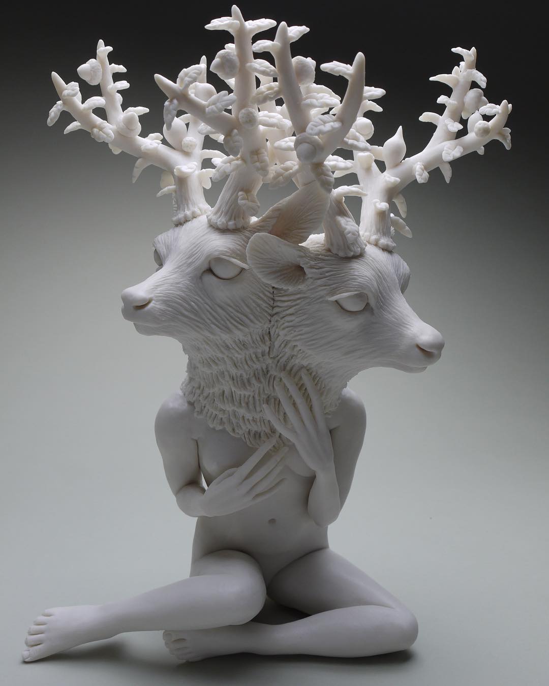 Crystal Morey Porcelaine Sculptor