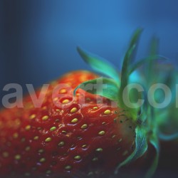 Strawberry - fraise macro