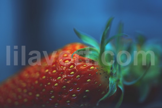 Strawberry - fraise macro