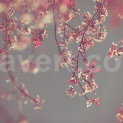 Vintage Spring photo stock