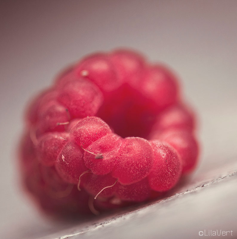 Framboise - macro Lilavert