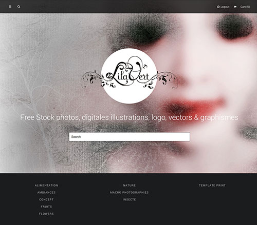 Creation webdesign Shop wordpress graphiste freelance, stock photos, mockup, ressources vectorielles